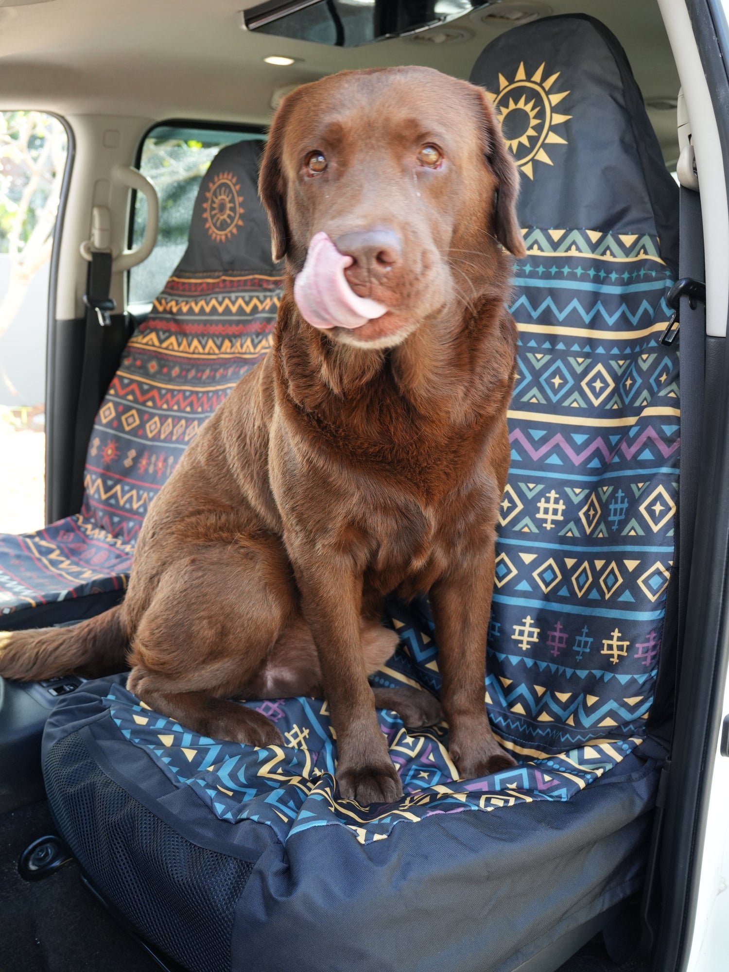 Best Dog Seat Cover in 2026: Protect Your Car While Traveling With Your Dog