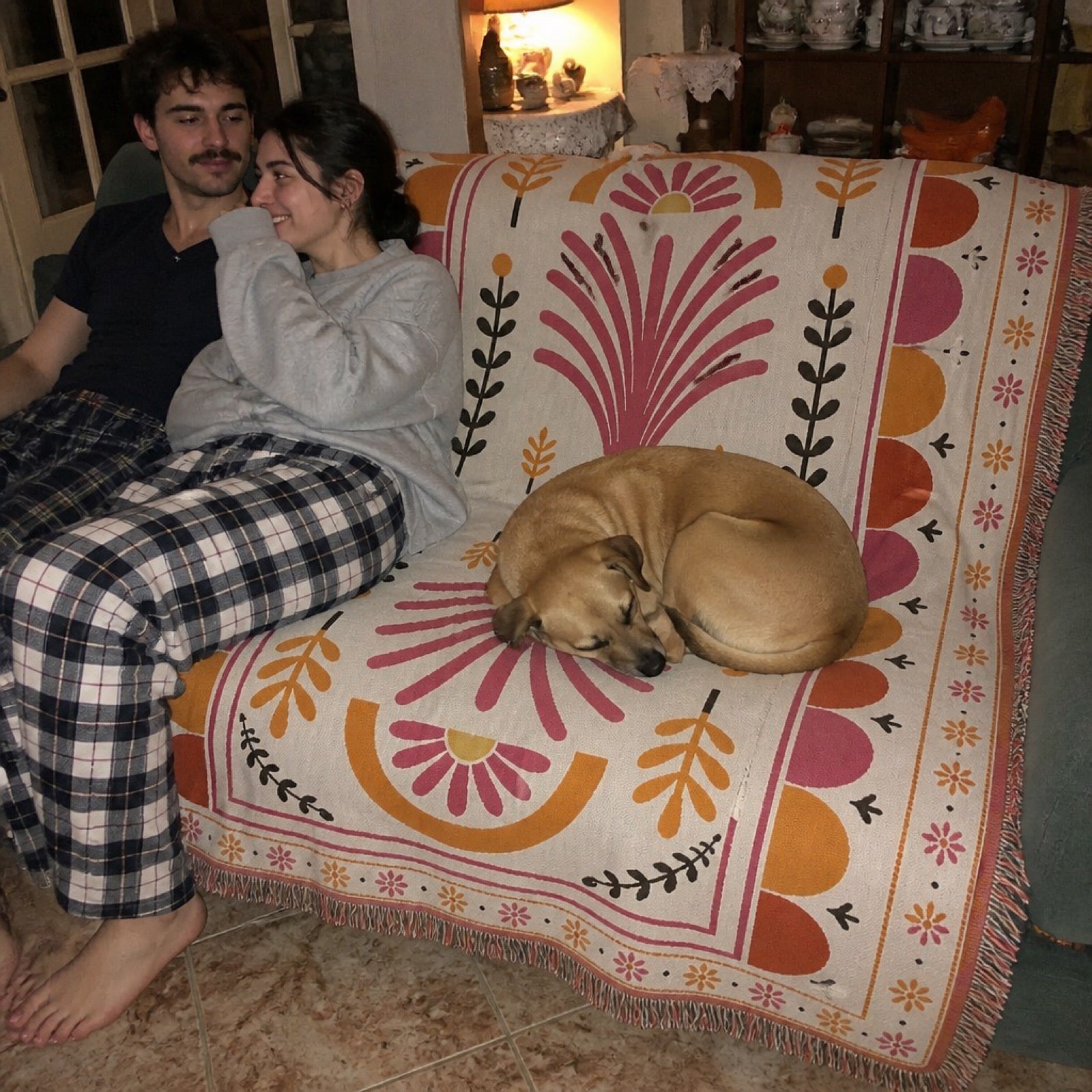 Dog resting on a washable Solara jacquard throw — the dog hair solution