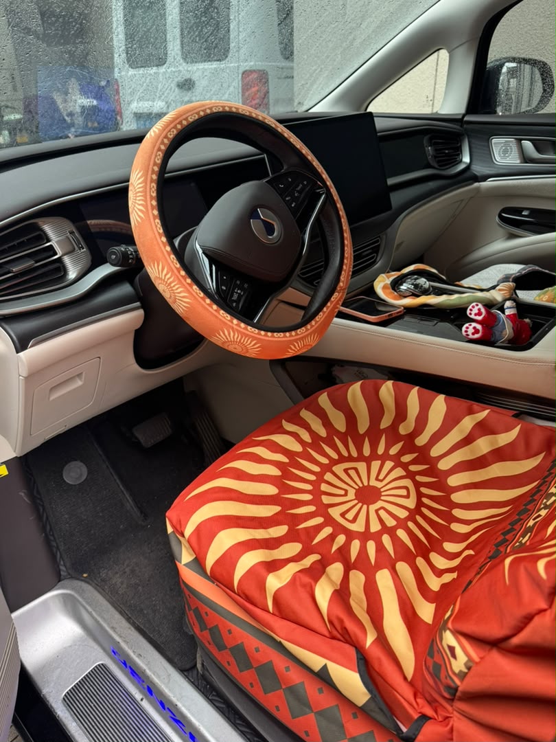 Sol steering wheel cover with the matching Sol seat cover in the same car | Solara